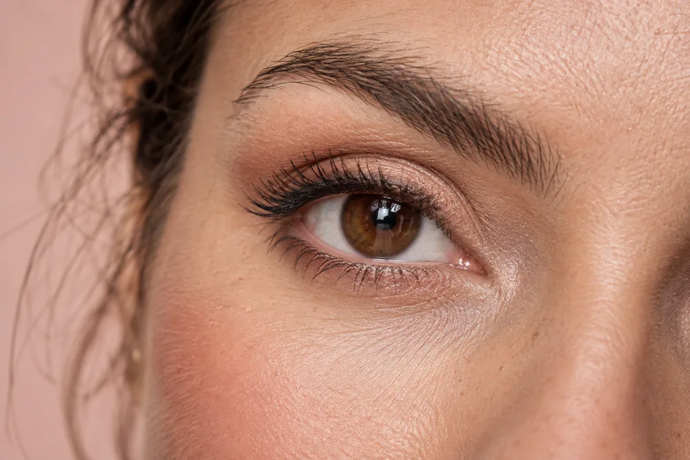 Cejas y pestañas